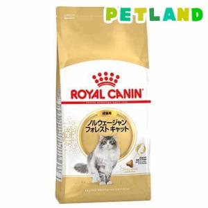 ロイヤルカナン FBN ノルウェージャン フォレ...の商品画像