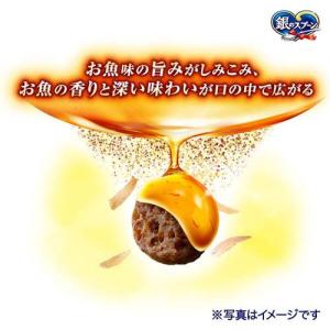 銀のスプーン 三ツ星グルメ しみ旨お魚仕立て ...の詳細画像1