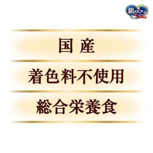 銀のスプーン 三ツ星グルメ しみ旨お魚仕立て ...の詳細画像4