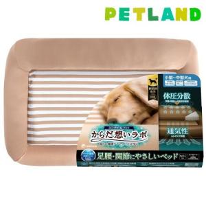 ユニ・チャーム からだ想いラボ特集 | ペットランド