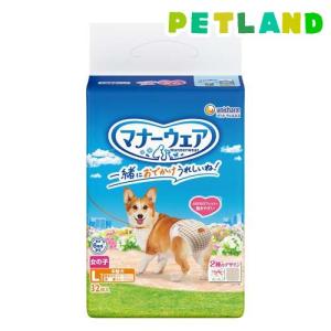 マナーウェア 男の子用SSサイズ 48枚 : くすりのレデイハート