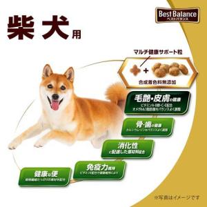 ベストバランス カリカリ仕立て 柴犬用 ( 5...の詳細画像1