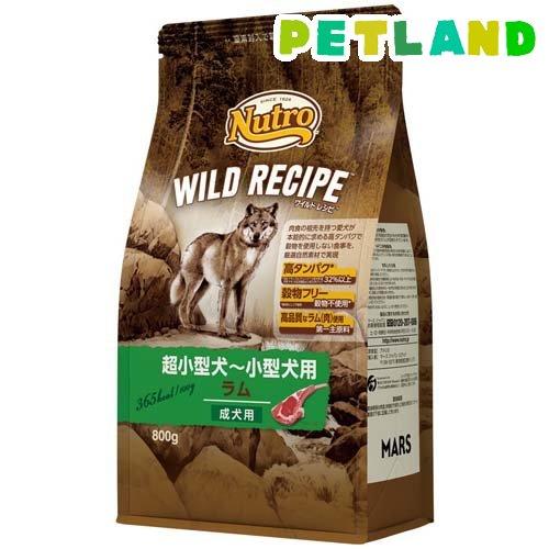 ニュートロ ワイルドレシピ 成犬用 ラム ( 800g )/ ニュートロ ( ドッグフード )