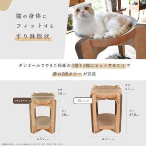 猫壱 バリバリボウルタワー ( 1個 )/ 猫壱の詳細画像1