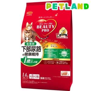 BLISMIX（ブリスミックス） チキン 全年齢猫用 1kg (猫・キャット