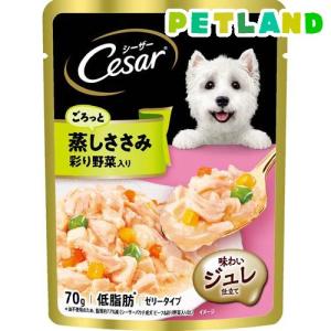紗 国産牛正肉 六穀と緑黄色野菜入り ( 100g*48コセット )/ ドギーマン