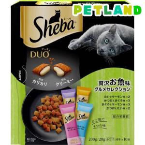 シーバ アミューズ お魚スープ 究極の2択 ( 240g )/ シーバ(Sheba