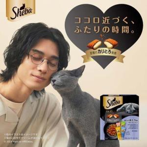 シーバ デュオ 15歳以上 クリーミーミルク味...の詳細画像1