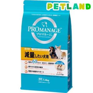 ユーカヌバ アダルト ラム＆ライス 成犬用 全犬種用 1歳以上 ( 800g