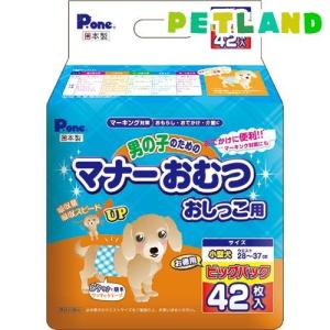 P・ワン 男の子のためのマナーおむつ おしっこ用 ビッグパック 小型犬 ( 42枚入 )/ P・ワン(P・one)