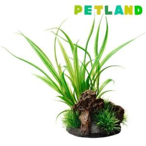 癒し水景 アクアキャンバス シペルス ( 1個 )/ 癒し水景｜petland