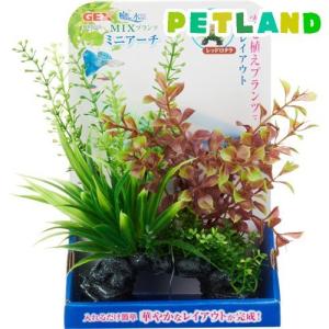 適切な価格 レッドロタラ 魚用品 水草 Www Elesta Ch