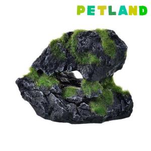 癒し水景 モスロック Cave ( 1個 )｜petland