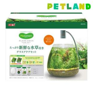 MeGreen 新鮮な水草付き グラスアクア ティアーセット ( 1セット )｜petland