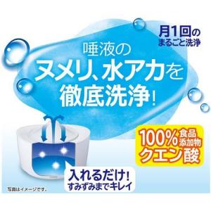 ピュアクリスタル専用 洗浄パウダー ( 20g...の詳細画像1