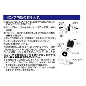 ピュアクリスタル専用 洗浄パウダー ( 20g...の詳細画像4