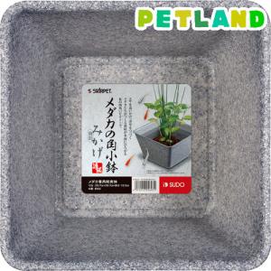 スターペット メダカの角小鉢 みかげ / スターペット