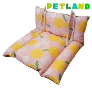 ミニアニマン ウサギのキャロットハウス 替えスノコ ( 2枚入 )/ : 爽快