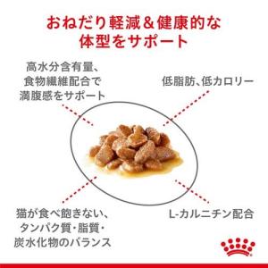 FCN WET アペタイトコントロール おねだ...の詳細画像2