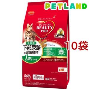 ピュリナワン キャット ドライ 健康マルチケア 11歳以上 チキン ( 2kg