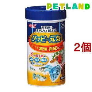 グッピー 水槽セット ペット用品 生き物 の商品一覧 通販 Yahoo ショッピング