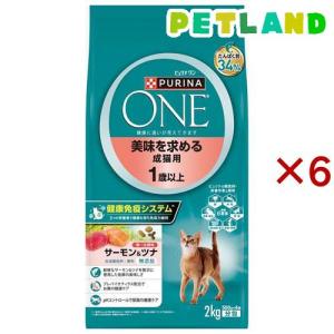 ピュリナワンキャット 美味を求める成猫用1歳以上チキン ( 4袋入×6