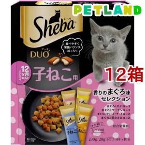 ピュリナワン キャット ドライ 健康マルチケア 11歳以上 チキン ( 2kg