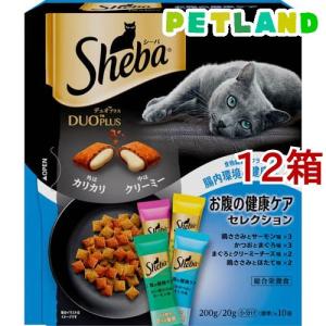ピュリナワン キャット ドライ 健康マルチケア 15歳以上 チキン ( 2kg