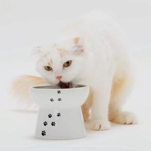 猫壱 ハッピーダイニング 脚付フードボウルL ...の詳細画像3