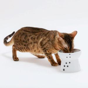 猫壱 ハッピーダイニング 脚付フードボウルL ...の詳細画像4