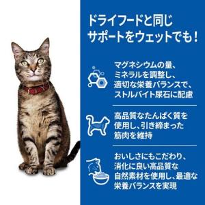 キャットフード 1〜6歳 チキン パウチ ( ...の詳細画像1