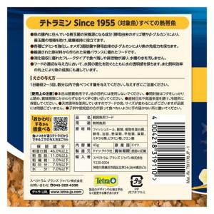 テトラミン ( 45g×108セット )/ T...の詳細画像1
