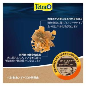 テトラミン ( 45g×108セット )/ T...の詳細画像3