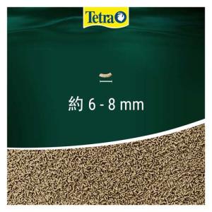 テトラ レプトミン 中粒 ( 70g×54セッ...の詳細画像2