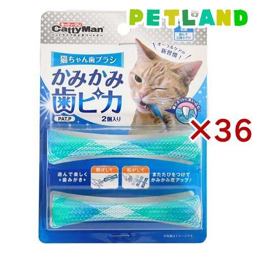猫ちゃん歯ブラシ かみかみ歯ピカ ( 2個入×36セット )/ キャティーマン