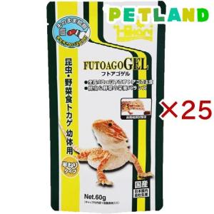 ひかり フトアゴゲル ( 60g×25セット )/ ひかり
