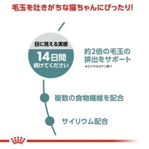 ロイヤルカナン フィーライン ケア ニュートリ...の詳細画像2