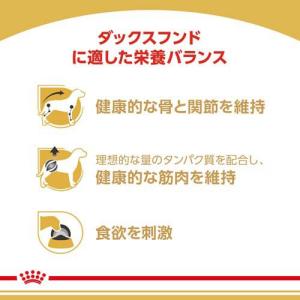 ロイヤルカナン BHN ウェット ダックスフン...の詳細画像1