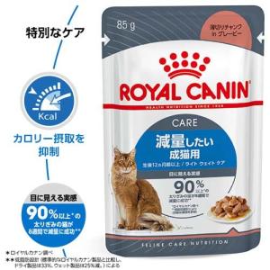ロイヤルカナン フィーライン ケア ニュートリ...の詳細画像1