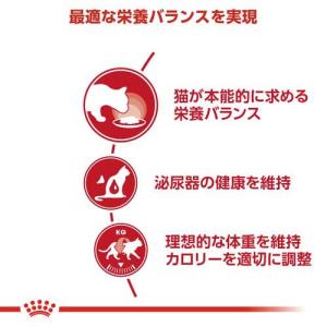 ロイヤルカナン フィーライン ヘルス ニュート...の詳細画像2