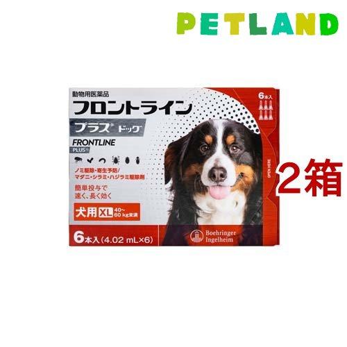 【動物用医薬品】フロントラインプラス 犬用 XL 40〜60kg未満 ( 6本入*2箱セット )/ ...