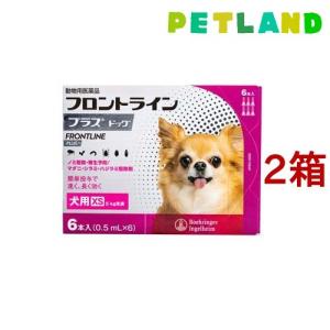 【動物用医薬品】フロントラインプラス 犬用 XS 5kg未満 ( 6本入*2箱セット )/ フロントラインプラス