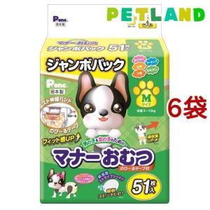 P・ワン マナーパッドActive ビッグパック L ( 28枚入 )/ P・ワン(P