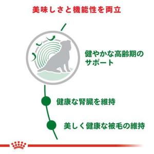 ロイヤルカナン サイズ ヘルス ニュートリショ...の詳細画像2