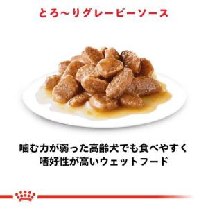 ロイヤルカナン サイズ ヘルス ニュートリショ...の詳細画像3