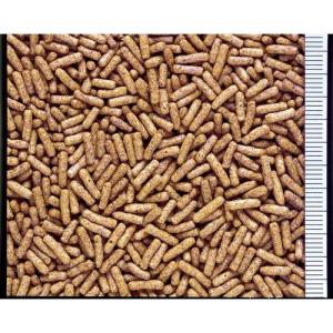 ひかり カメプロス ( 70g*72個セット ...の詳細画像1