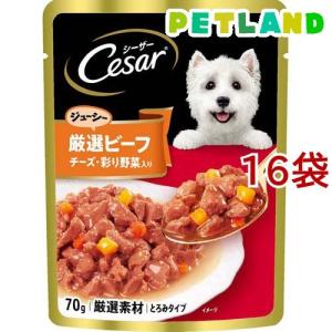 NaturaHa ・紗 ・Cesar ドックフード まとめ売り 90個 NaturaHa ・紗