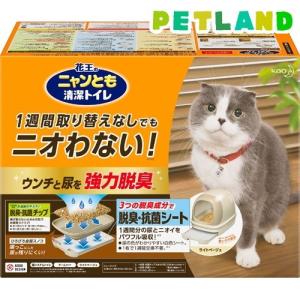 花王 ニャンともキティデザイン | ペットランド