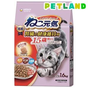 ピュリナワン キャット ドライ 健康マルチケア 11歳以上 チキン ( 2kg