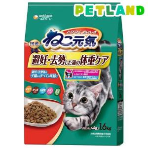 ピュリナワン キャット ドライ 健康マルチケア 15歳以上 チキン ( 2kg